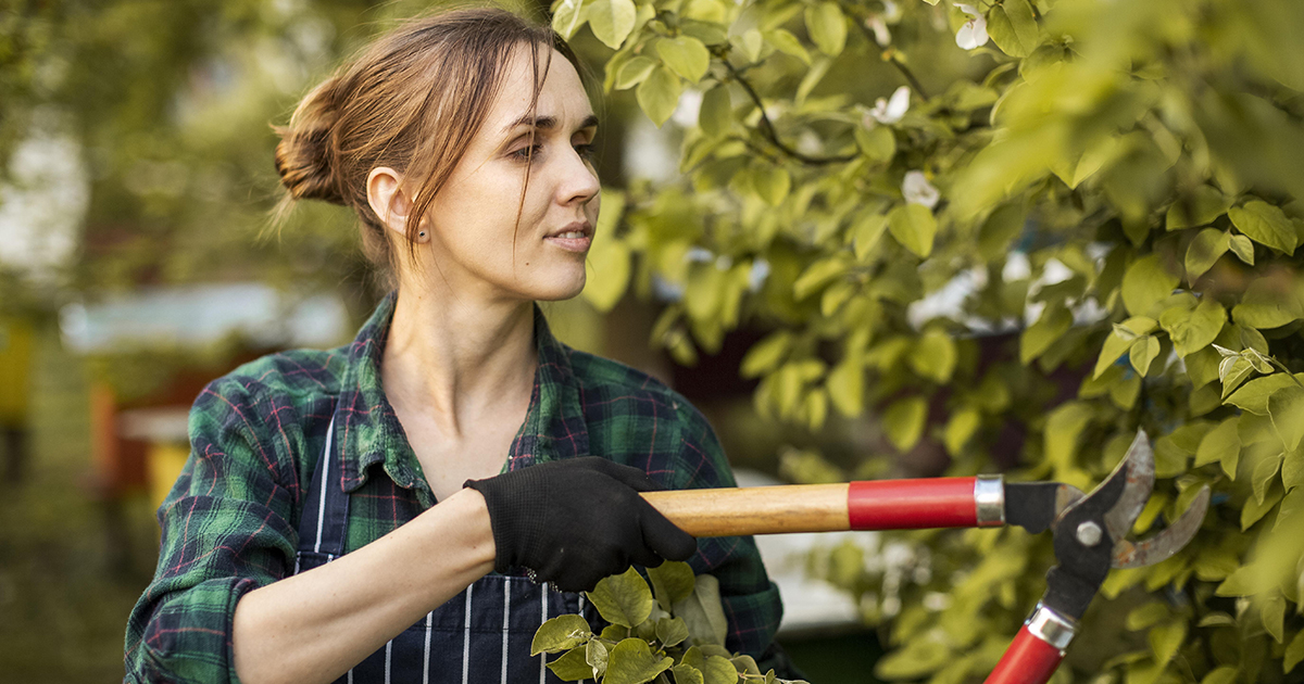 Essential Tips from Tree Service